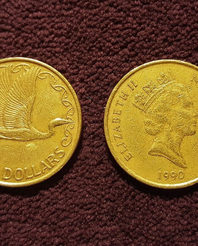 31.1-moneda nueva zelanda